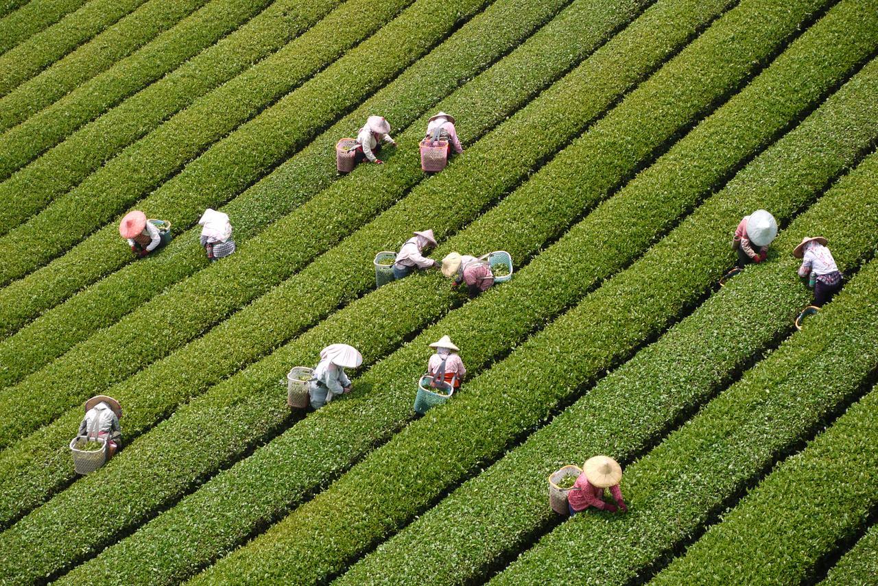 Sheng-Le Farm B&B Fanlu Ngoại thất bức ảnh