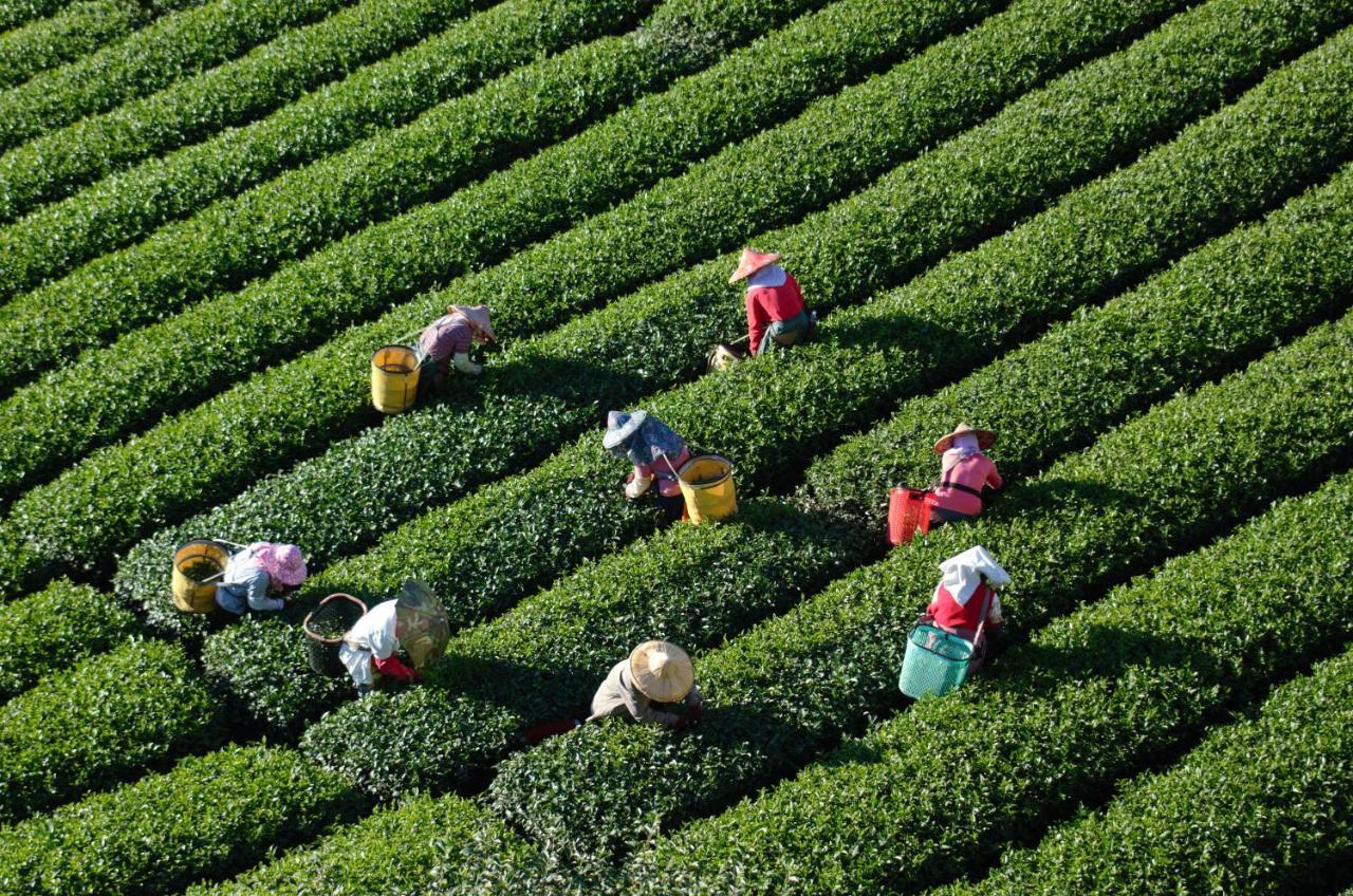 Sheng-Le Farm B&B Fanlu Ngoại thất bức ảnh